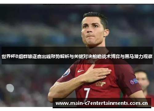 世界杯B组群雄逐鹿出线形势解析与关键对决前瞻战术博弈与黑马潜力观察